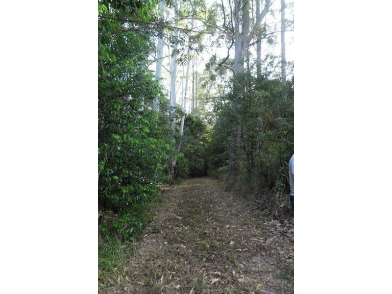 72 Wust Road, Cooroy QLD 4563