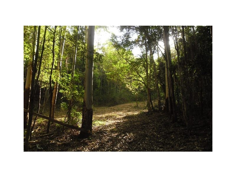 72 Wust Road, Cooroy QLD 4563