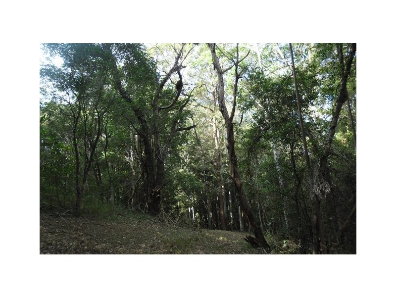 72 Wust Road, Cooroy QLD 4563