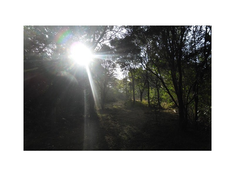 72 Wust Road, Cooroy QLD 4563