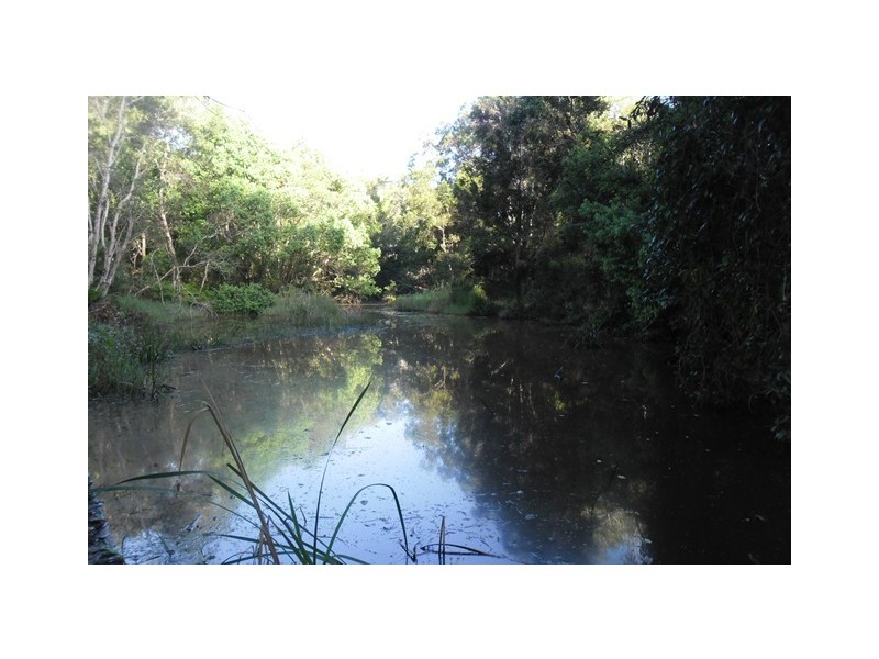 72 Wust Road, Cooroy QLD 4563