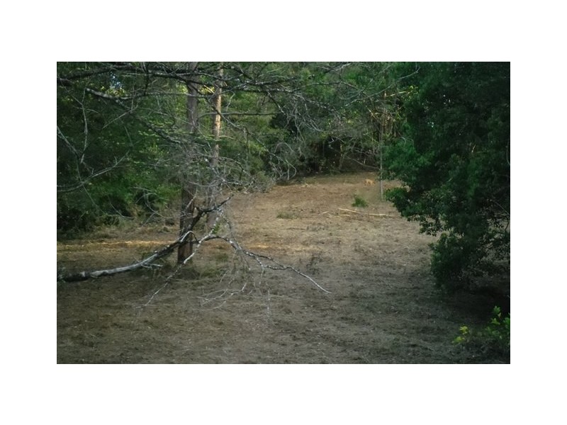 72 Wust Road, Cooroy QLD 4563