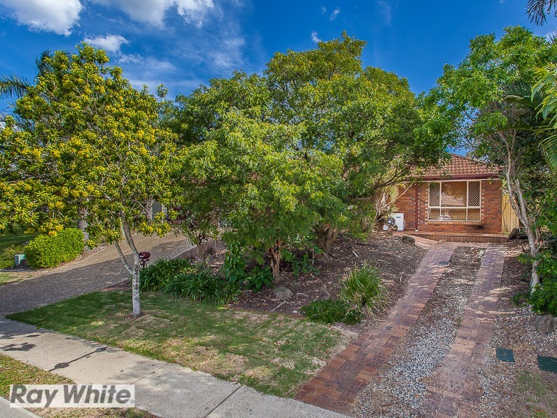 11 Kurrajong Drive, Warner QLD 4500