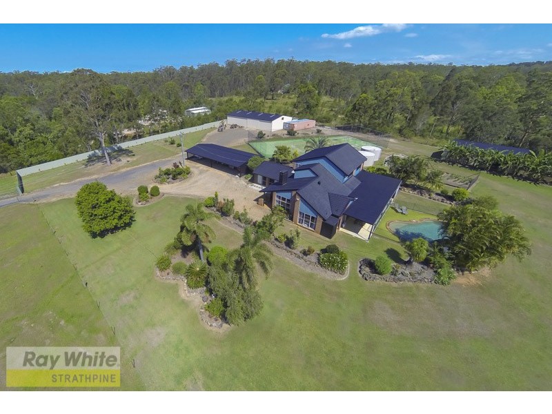 50 Honeyeater Court, Upper Caboolture QLD 4510