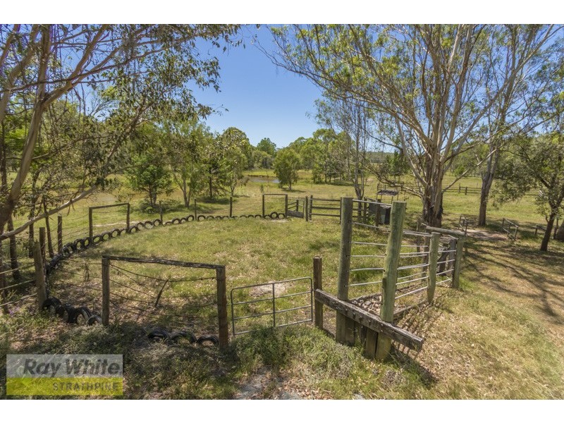 480 Moore Road, Kurwongbah QLD 4503