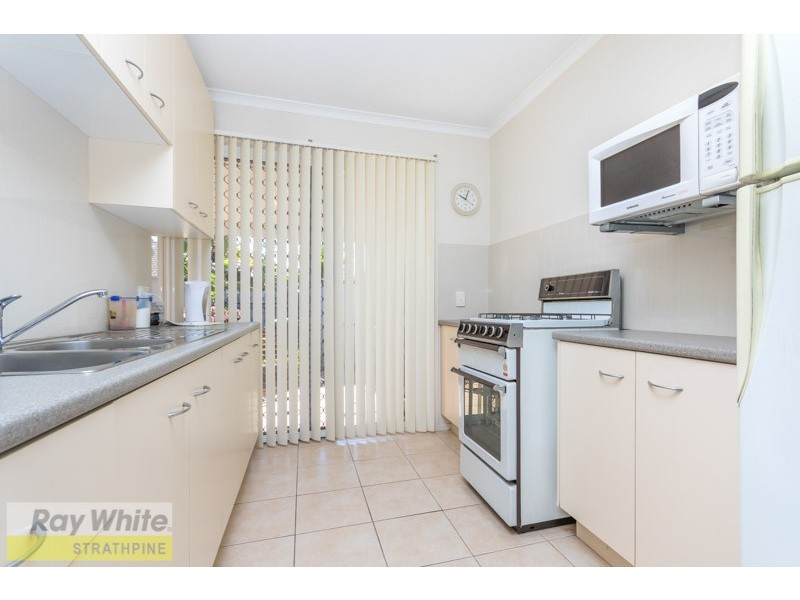 16 Marshall Court, Brendale QLD 4500