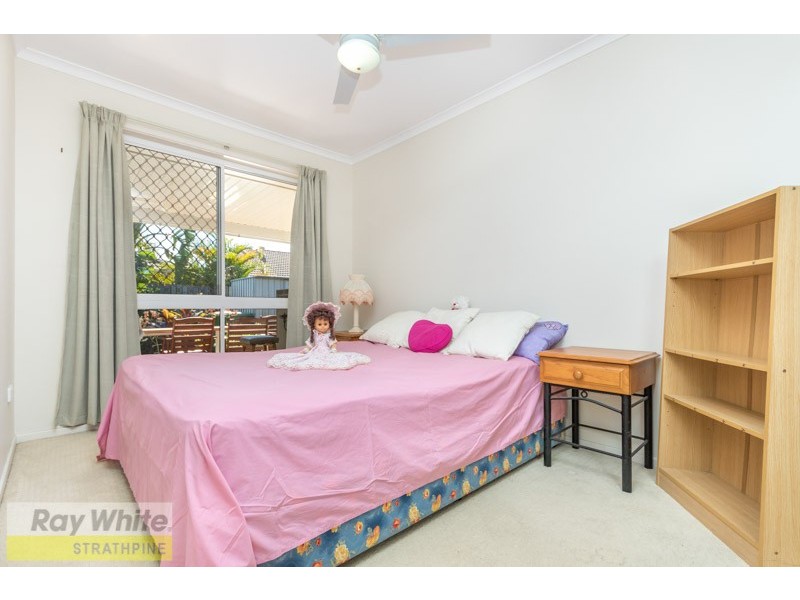 16 Marshall Court, Brendale QLD 4500