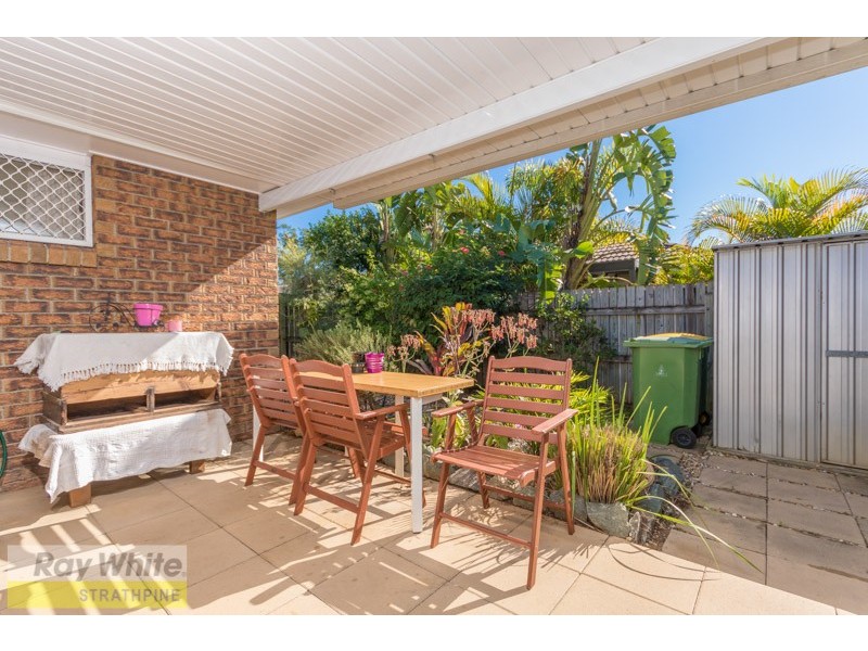 16 Marshall Court, Brendale QLD 4500