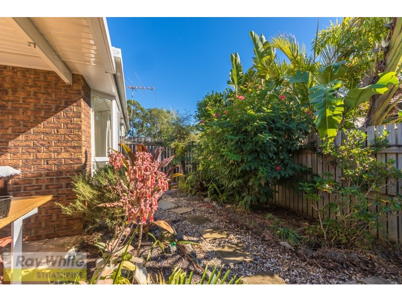 16 Marshall Court, Brendale QLD 4500