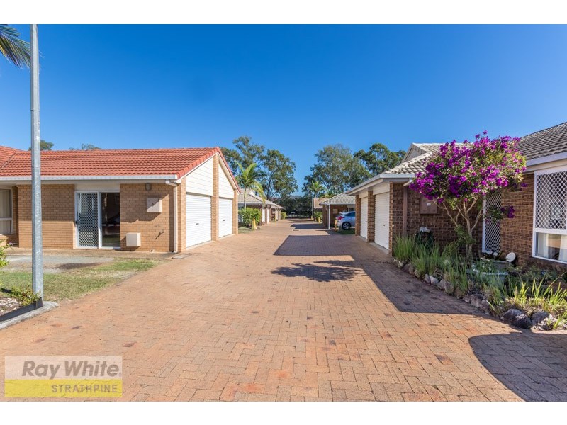 16 Marshall Court, Brendale QLD 4500