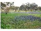 South Windsor NSW 2756