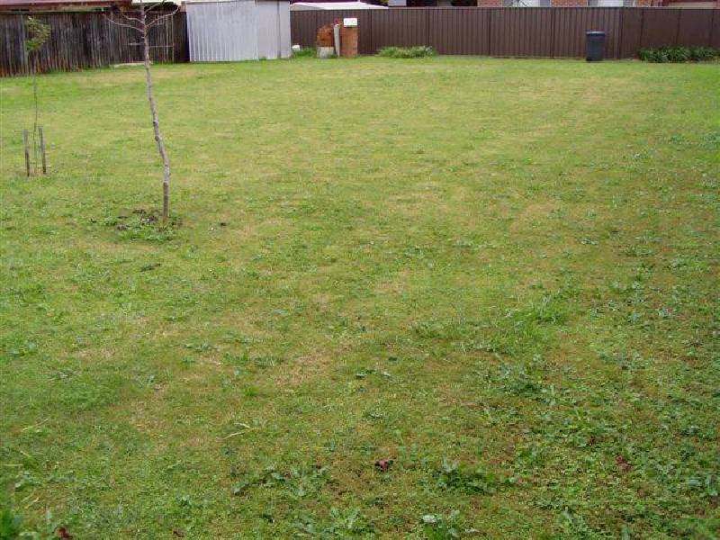 3 LANGLEY PLACE, Richmond NSW 2753