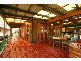 20 Currawong Crescent, Bowen Mountain NSW 2753