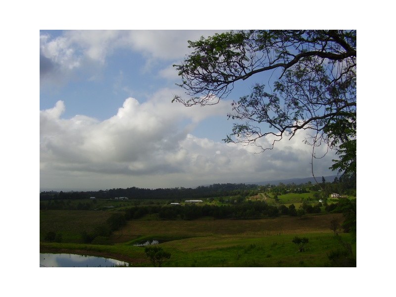 1040 Grose Vale Rd, Kurrajong NSW 2758