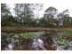 Kurrajong NSW 2758