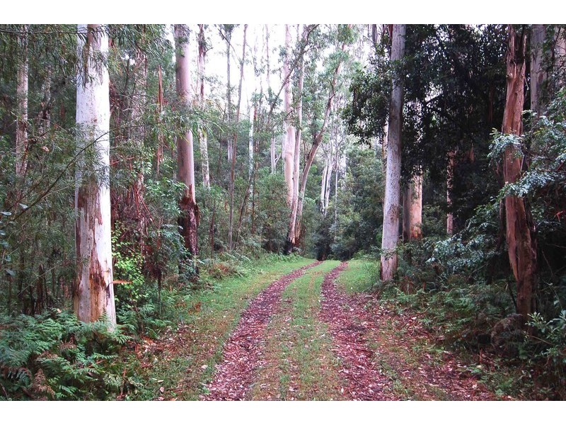 Kurrajong NSW 2758