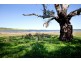 679 Flinders Highway, Port Lincoln SA 5606