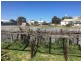 1 Kent Street, Thevenard SA 5690