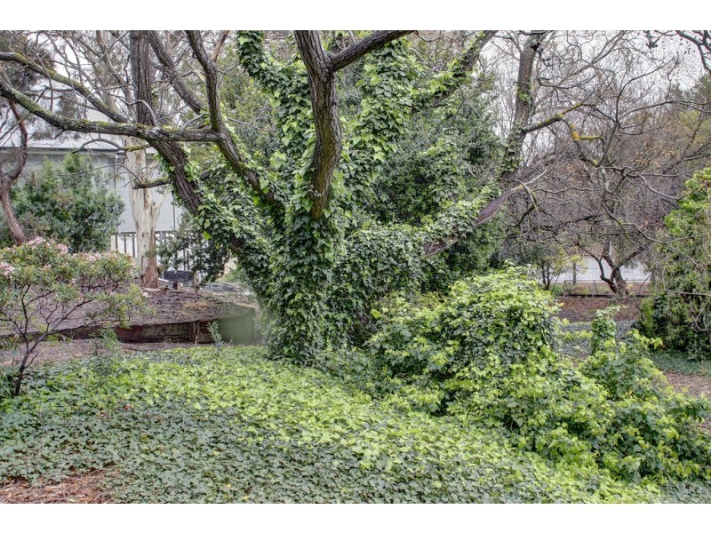 11 Kemp Avenue, Port Lincoln SA 5606