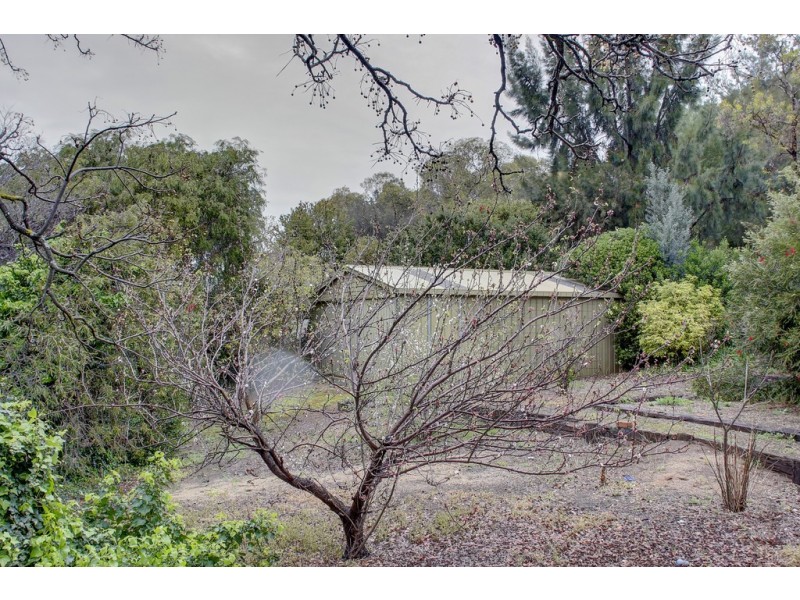 11 Kemp Avenue, Port Lincoln SA 5606