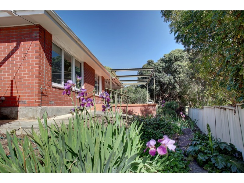 3 Trafalgar Street, Port Lincoln SA 5606