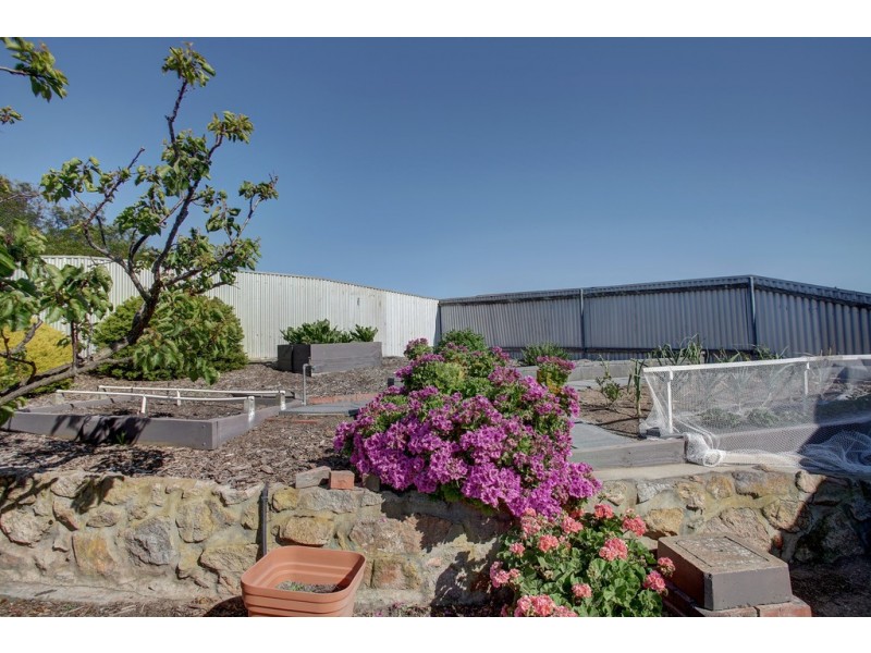 31 Eric Avenue, Port Lincoln SA 5606