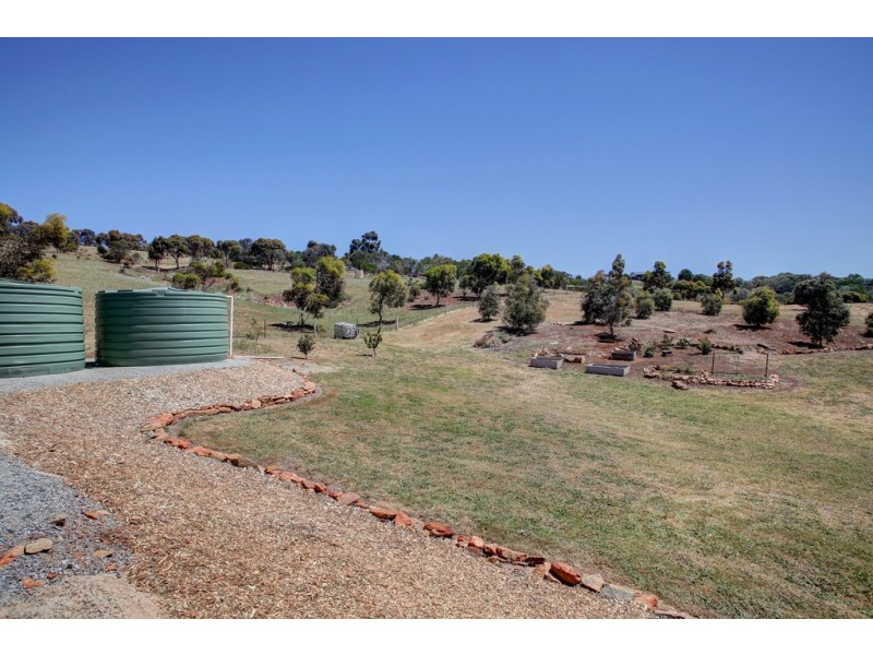 36-42 Thornbill Road, Boston SA 5607