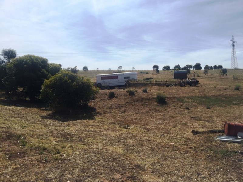 29-41 (Lot 15) Cockatoo Road, Boston SA 5607