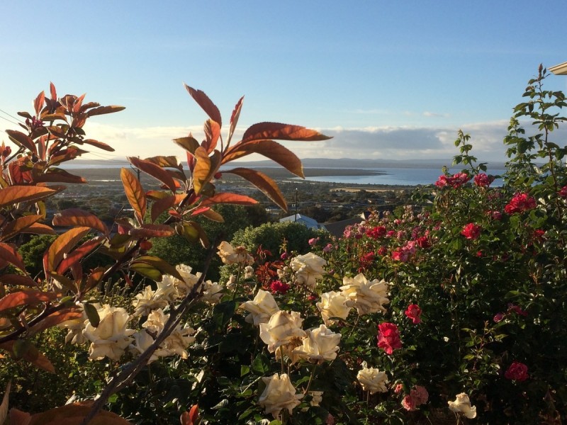1 Lawson Drive, Port Lincoln SA 5606