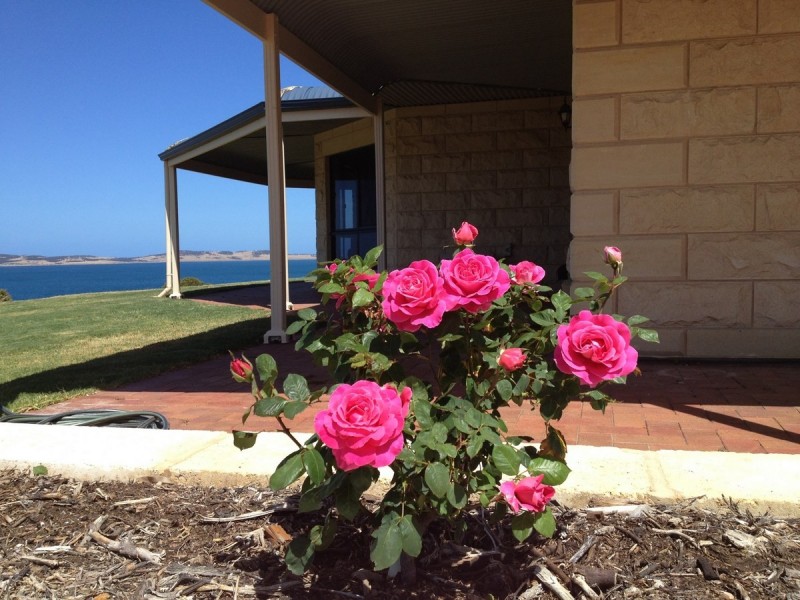 61-65 (Lot 53) Sanctuary Drive, Boston SA 5607