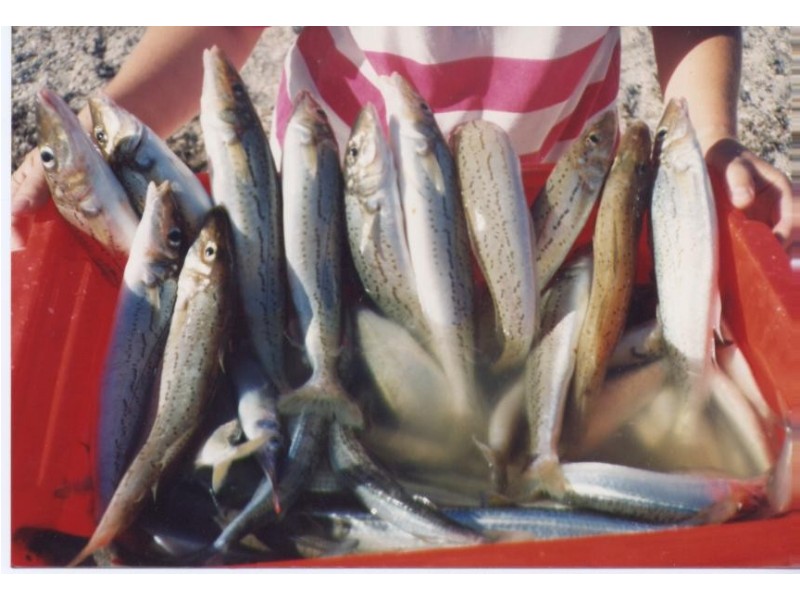 448 Woolshed Drive – Dutton Bay, Coffin Bay SA 5607