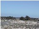 Lot 53 Holly Rise, Coffin Bay SA 5607