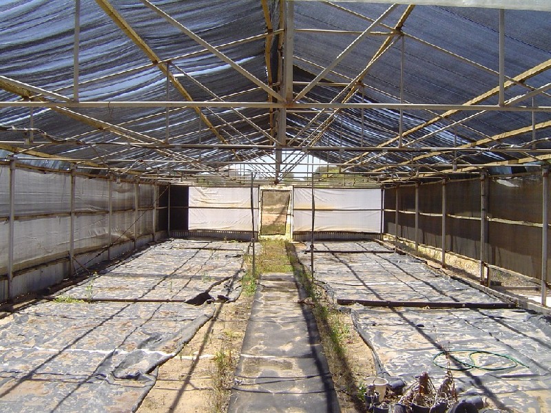 Sect 65 Lincoln Highway, Arno Bay SA 5603