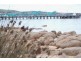 12 Finke Street, Port Lincoln SA 5606