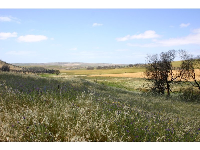 Sect 5 and 6 Countryview Estate, Port Lincoln SA 5606