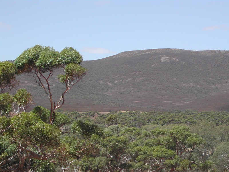 Lot 50 Flinders Highway, Coulta SA 5607