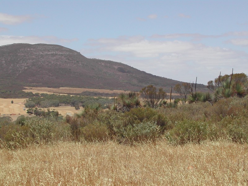 Lot 50 Flinders Highway, Coulta SA 5607