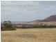 Lot 50 Flinders Highway, Coulta SA 5607