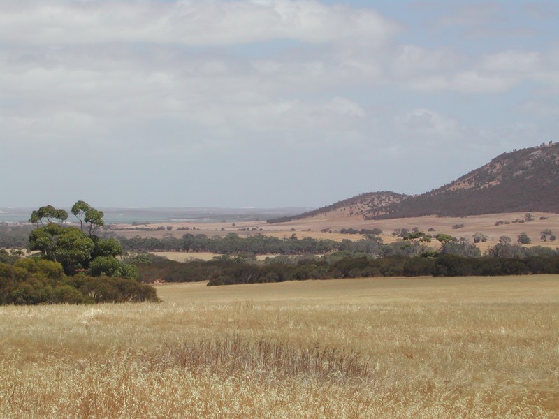 Lot 50 Flinders Highway, Coulta SA 5607