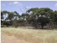 Lot 50 Flinders Highway, Coulta SA 5607
