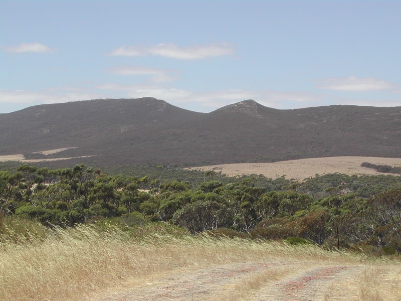 Lot 50 Flinders Highway, Coulta SA 5607