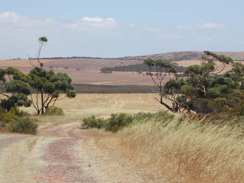 Lot 50 Flinders Highway, Coulta SA 5607