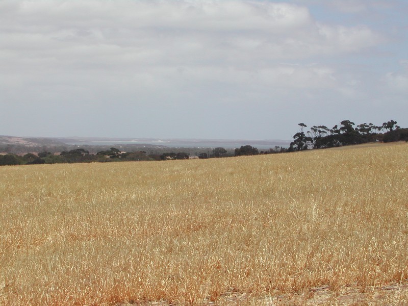 Lot 50 Flinders Highway, Coulta SA 5607