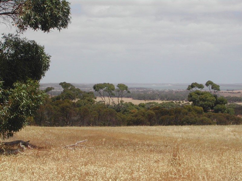 Lot 50 Flinders Highway, Coulta SA 5607