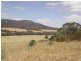 Lot 50 Flinders Highway, Coulta SA 5607