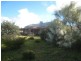 Lot 50 Norton Lane, BIG SWAMP via, Port Lincoln SA 5606