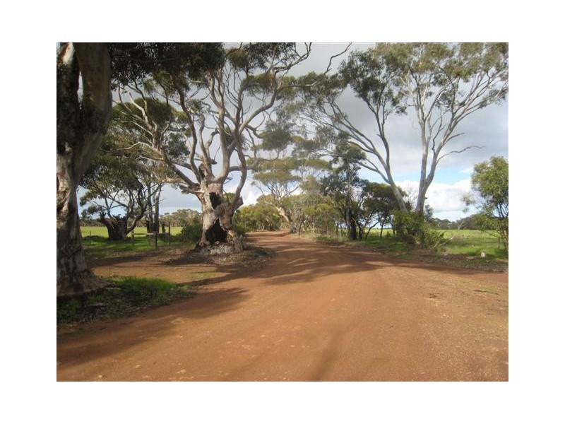 Lot 50 Norton Lane, BIG SWAMP via, Port Lincoln SA 5606
