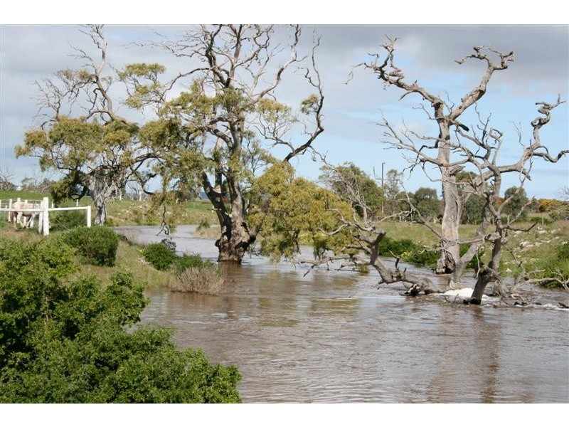 151 Weashir Street, Wangary SA 5607