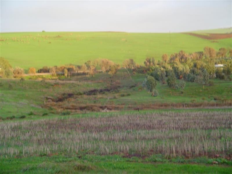 Sect 144 White Flat Rd, Whites Flat SA 5607