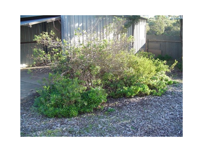 43A Hilltop Drive, Port Lincoln SA 5606